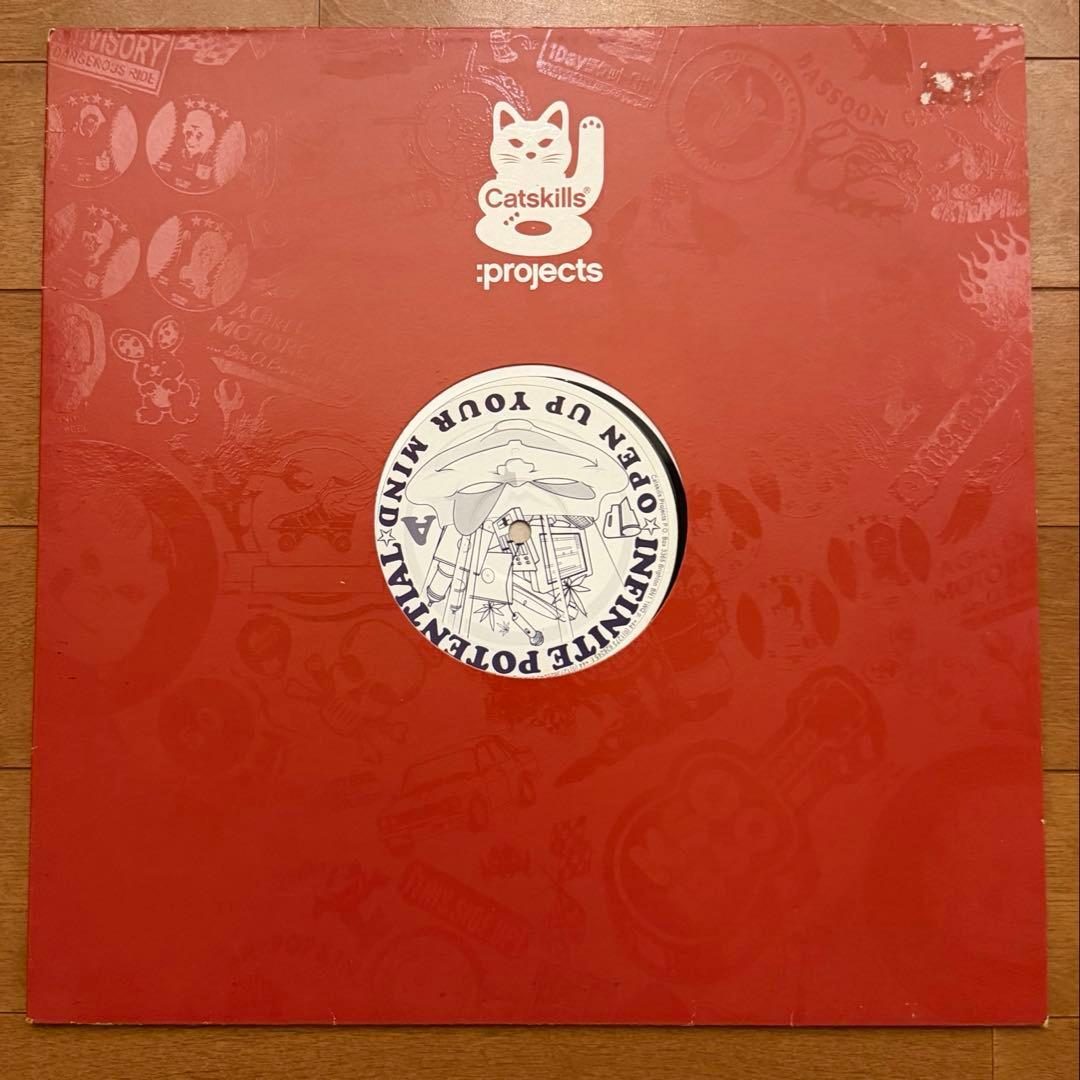 Red Catskills:projects sleeve with the Open Up Your Mind label showing